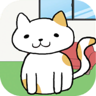 我的猫咪在哪儿
