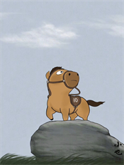 小林画质助手2.0