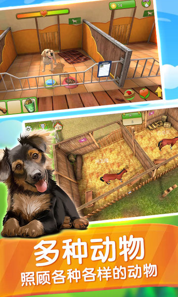动物乐园