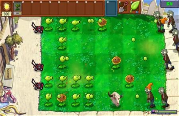 PvZ新指导