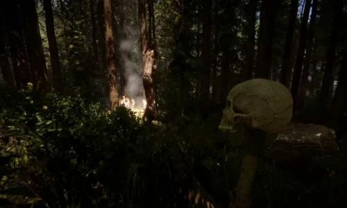 森林之子云游戏截图1