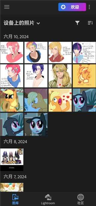 Lightroom安卓手机版