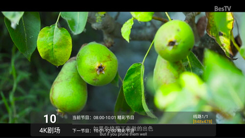 高清直播内置原电视家接口版