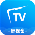 影视仓游戏版