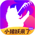 花小猪打车app