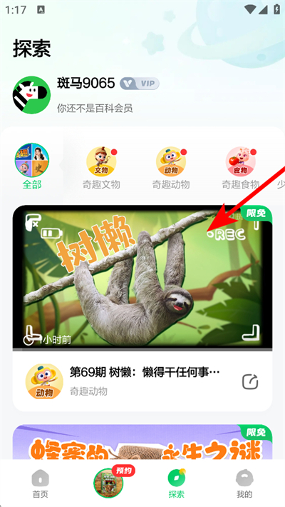 斑马百科