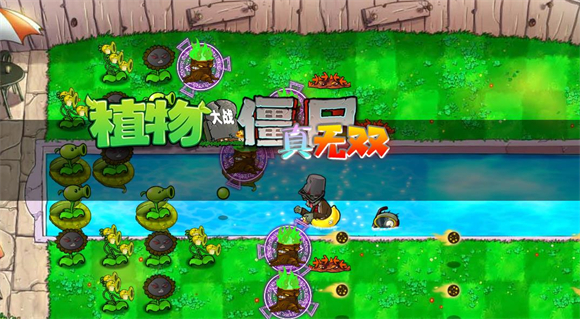 pvz真无双版