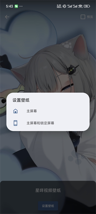 星咩视频壁纸