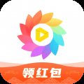 全局透明壁纸app