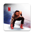WWE2K25手游版