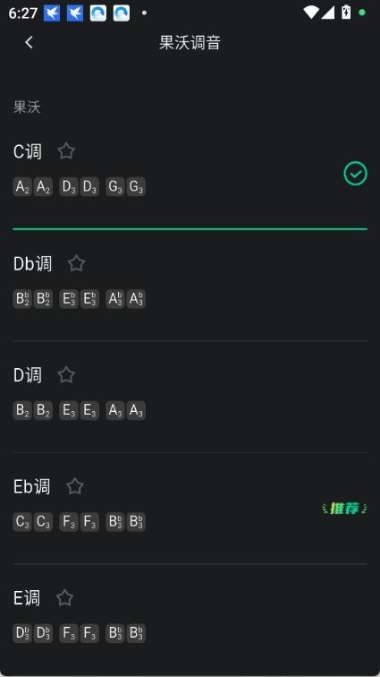 雪怪调音器正版
