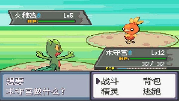 口袋妖怪极光石